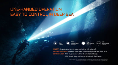 Acebeam D30 Diving Flashlight